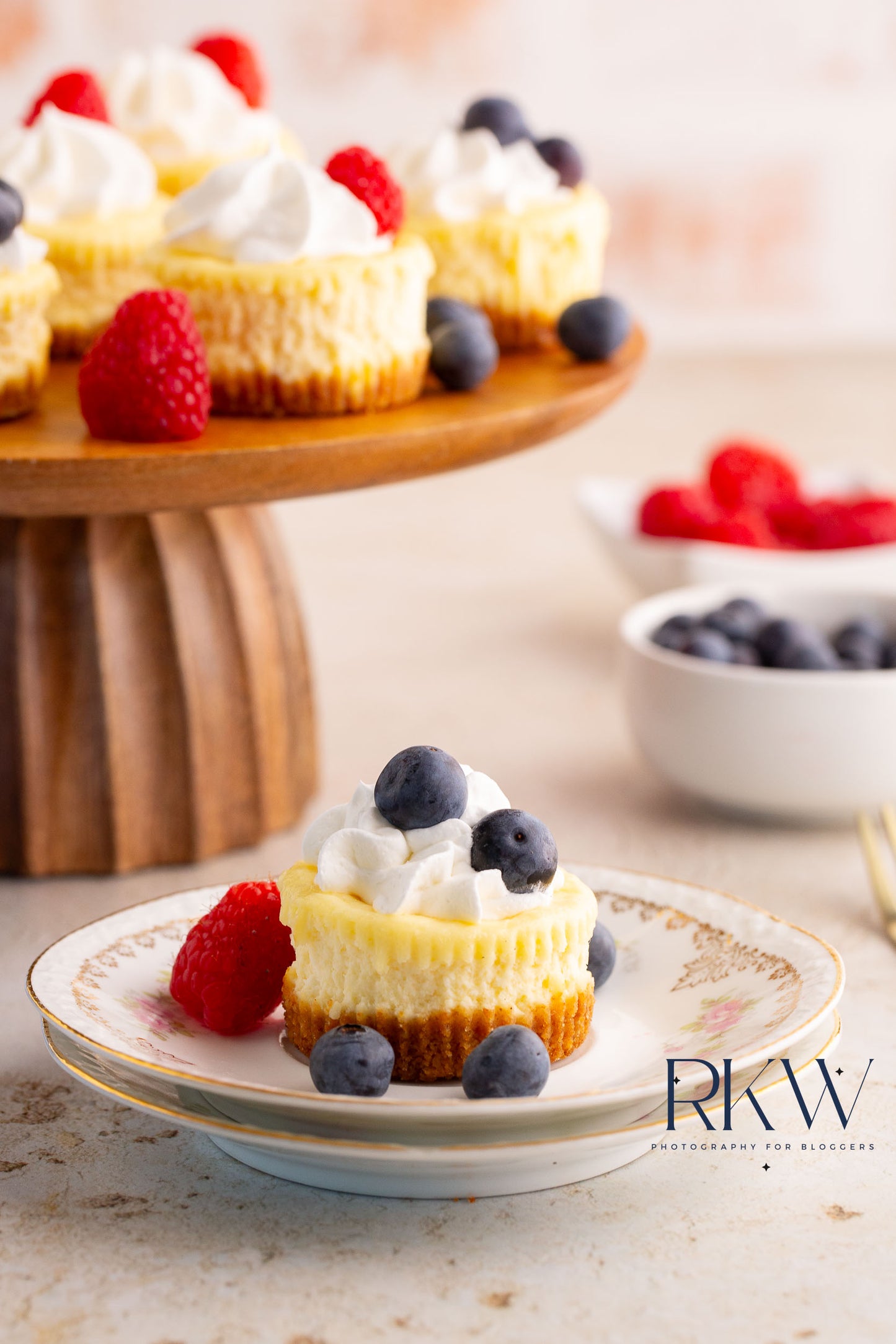 Mini Cheesecakes- Exclusive