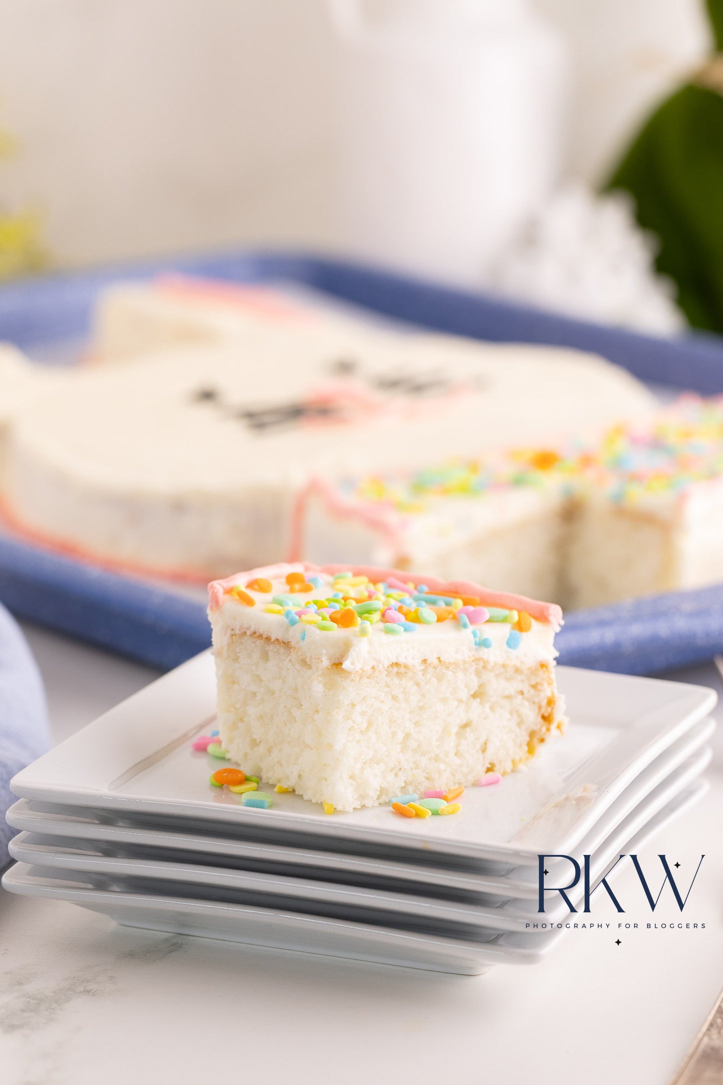 Bunny Cake- Exclusive